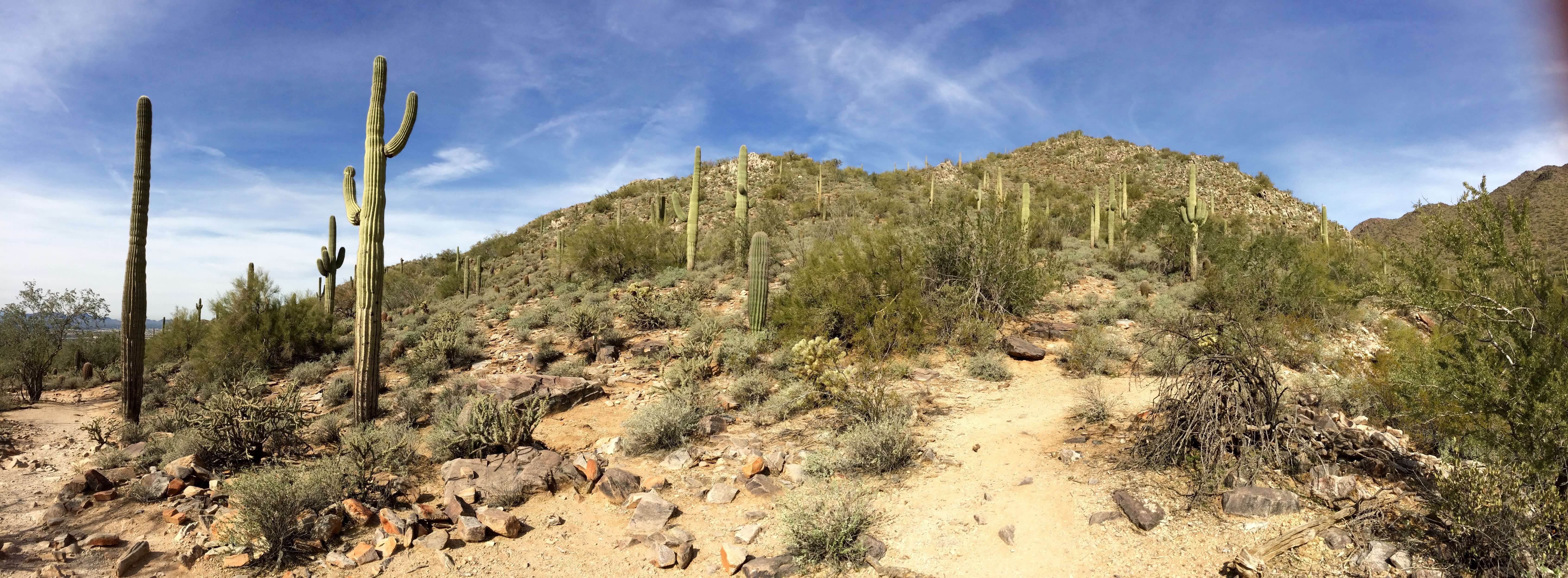 McDowell Mountain Preserve