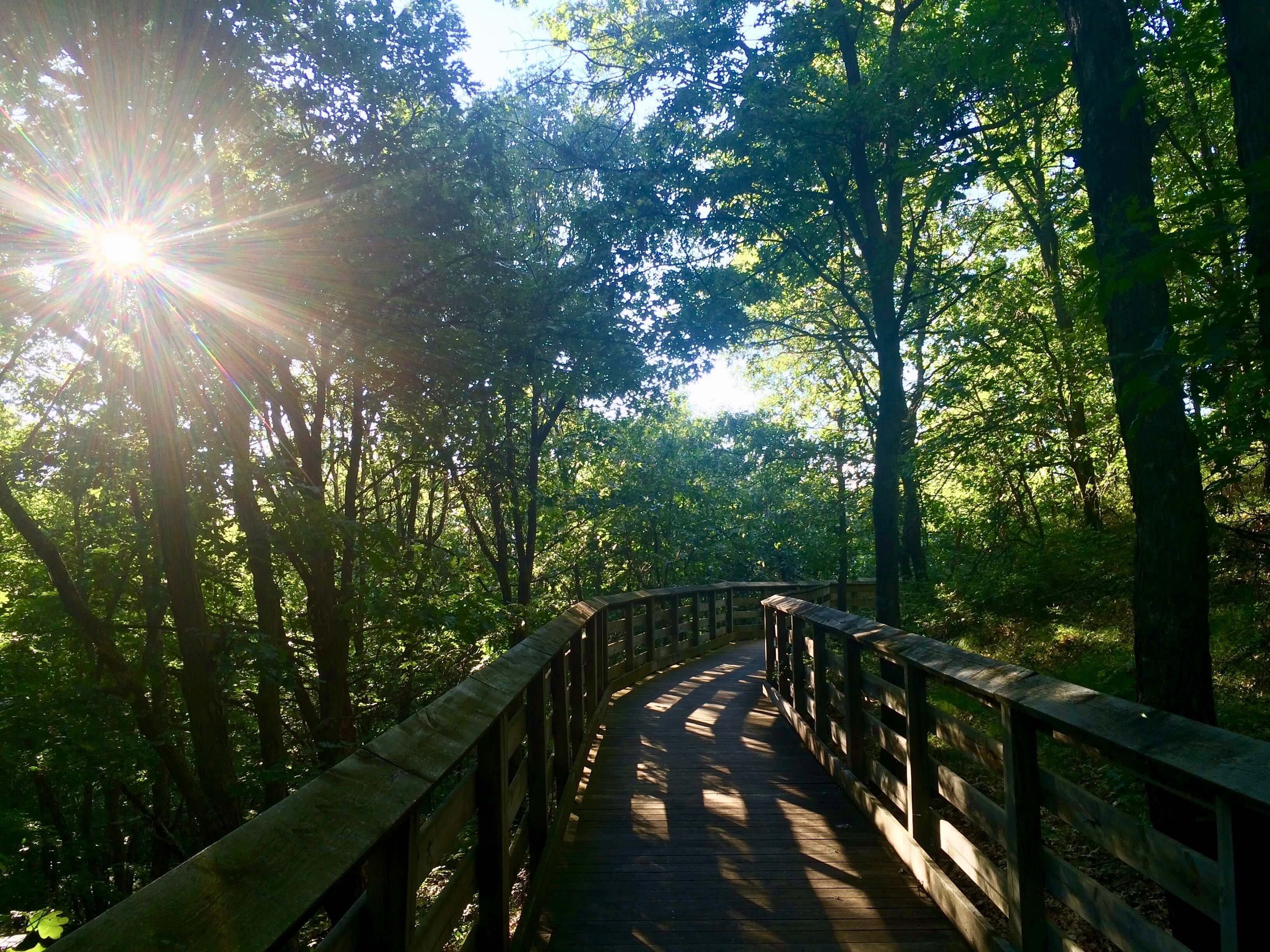 Black River Falls Rest Area Trail