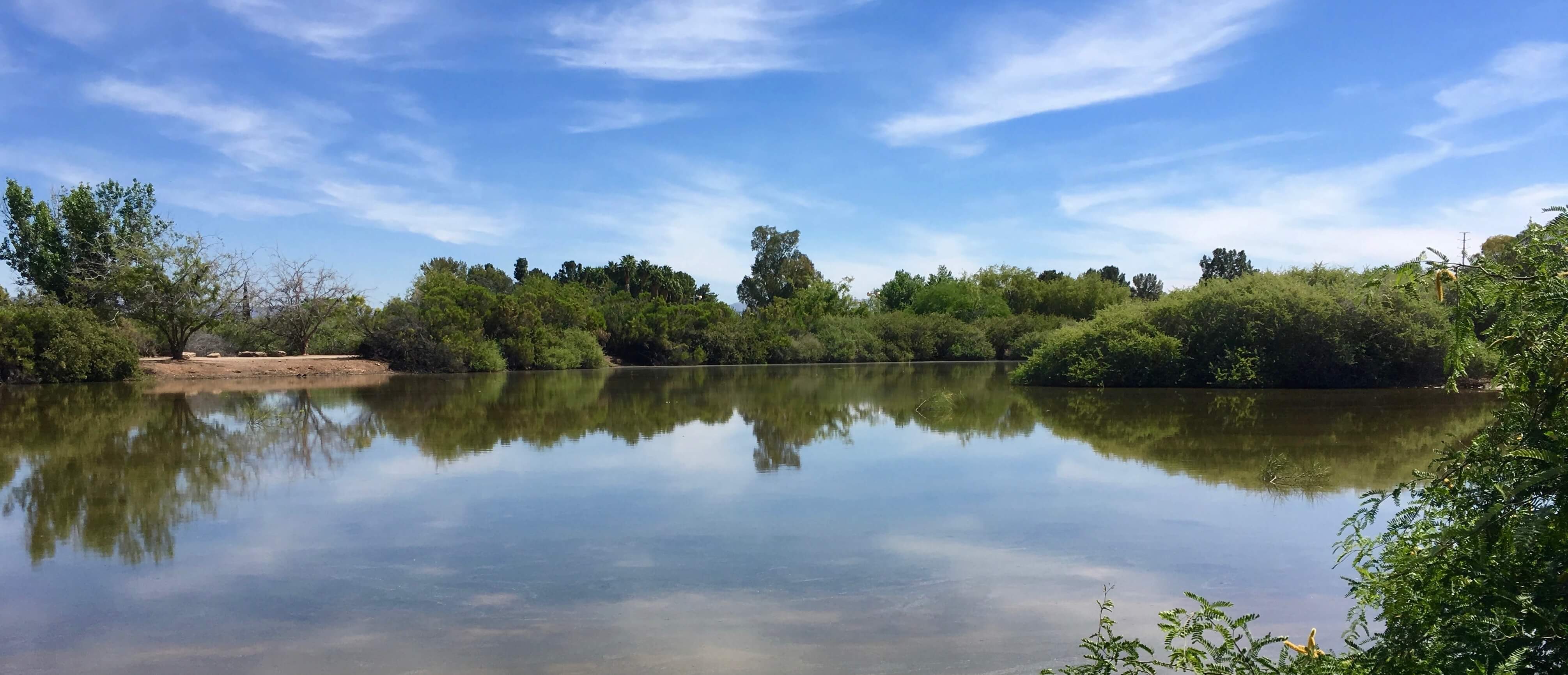 Gilbert Riparian Preserve