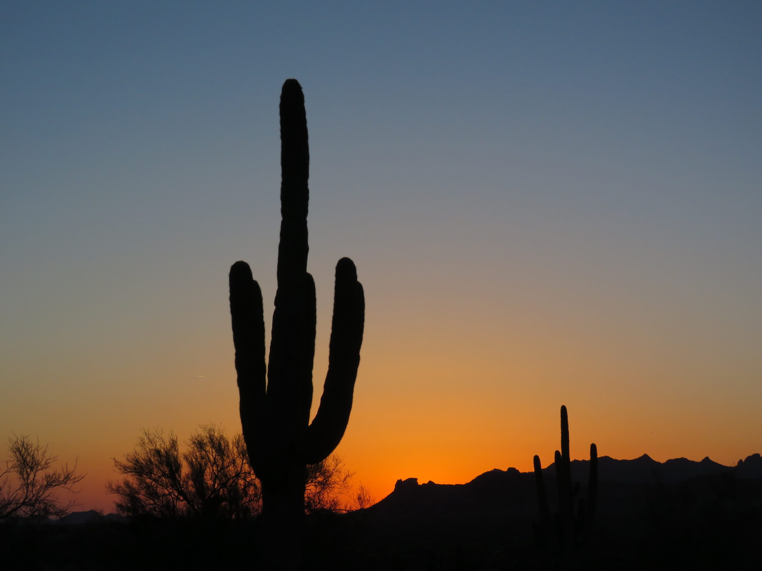 Lost Dutchman 2