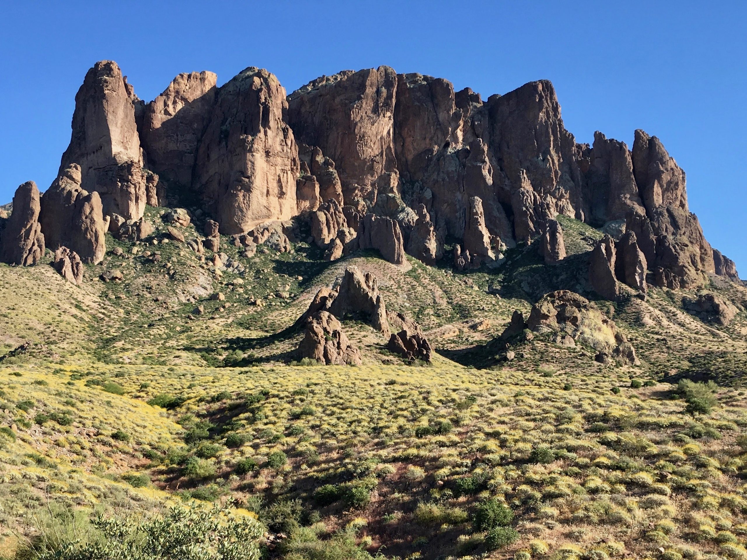 Lost Dutchman 6