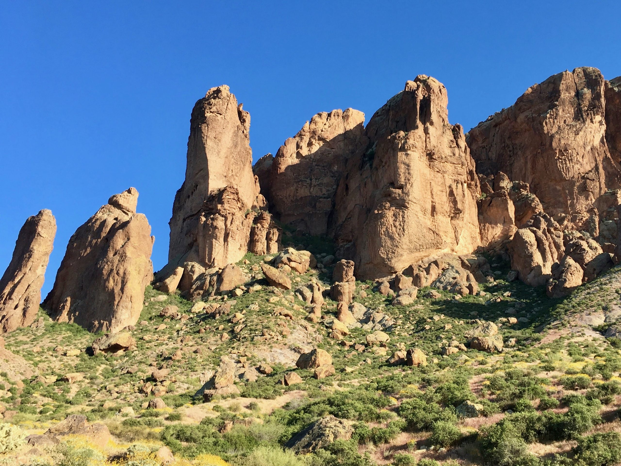 Lost Dutchman 7