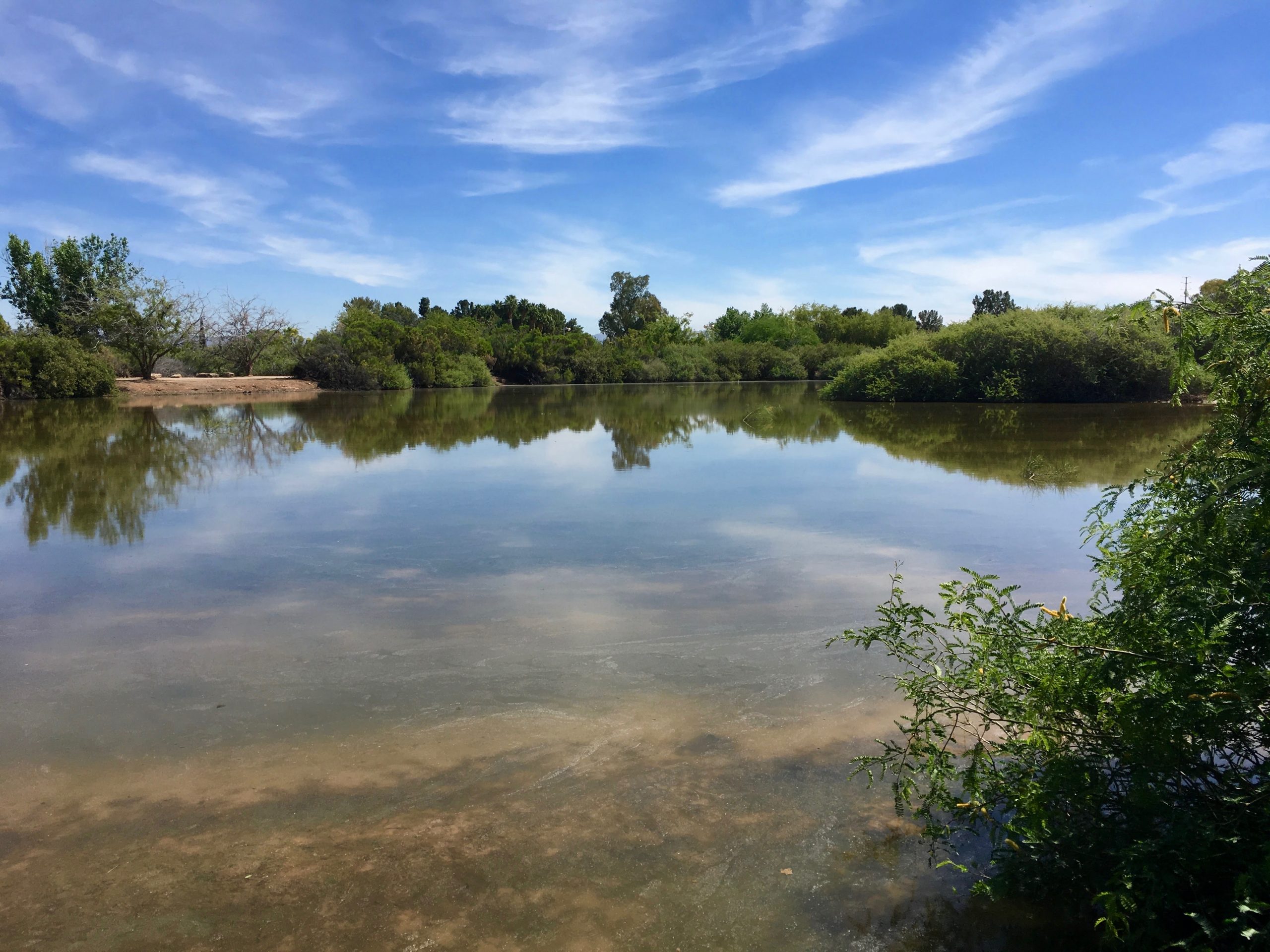 Gilbert Riparian Preserve Lake2