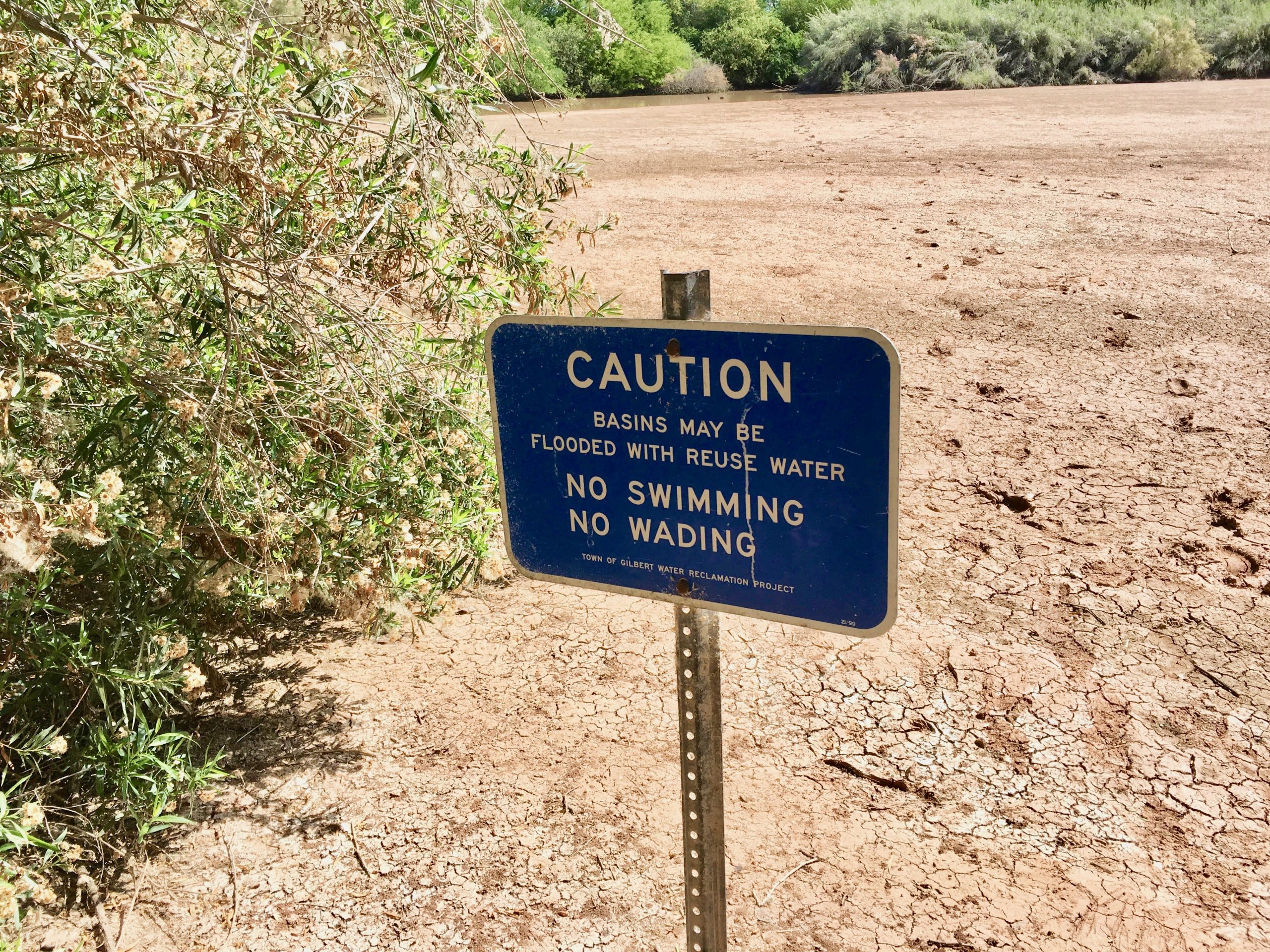 Gilbert Riparian Preserve No Swimming